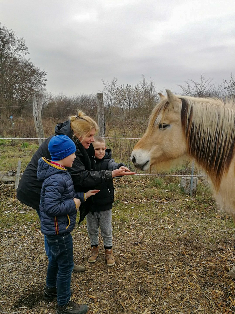 Foto: zwei Kinder und eine Frau füttern ein Pferd